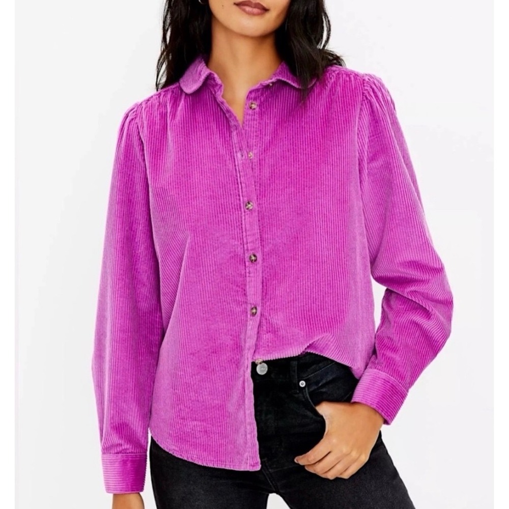 Loft Shirt Corduroy Round Collar NEW‎ Cotton Bright Gypsy Fuchsia Pink XS